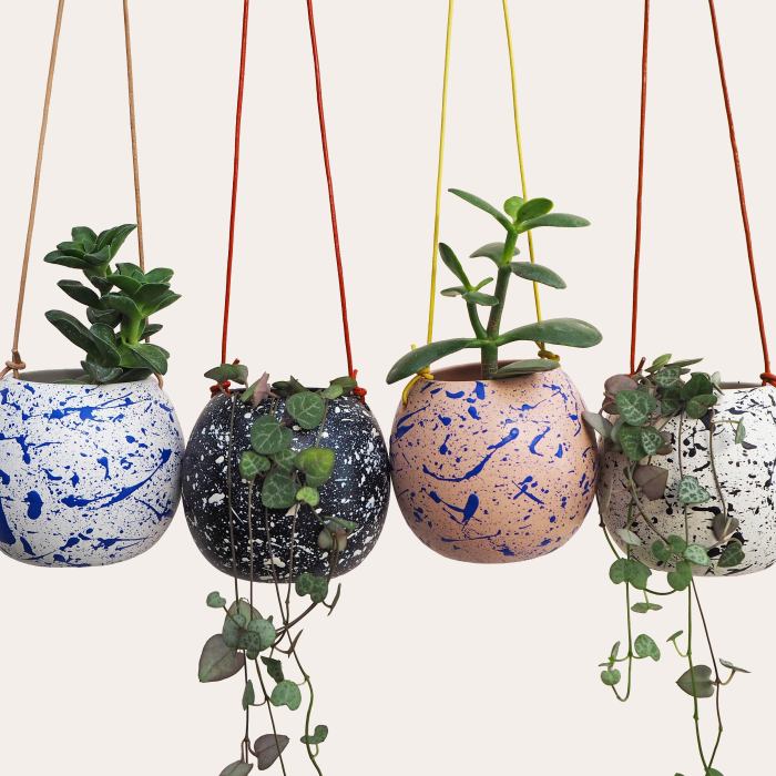 Hanging Plants Indoor | Ceramic Hanging Planters: A Guide to Enhance Your Indoor Spaces