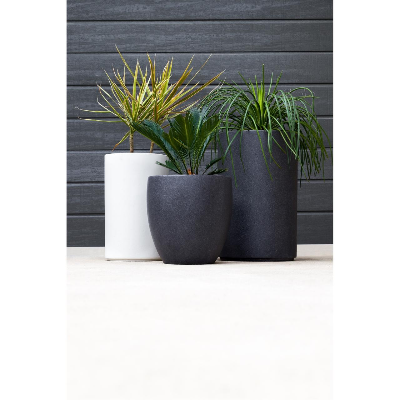 Hanging Plants Indoor | Bunnings Fibreglass Pots: A Guide to Durability and Style
