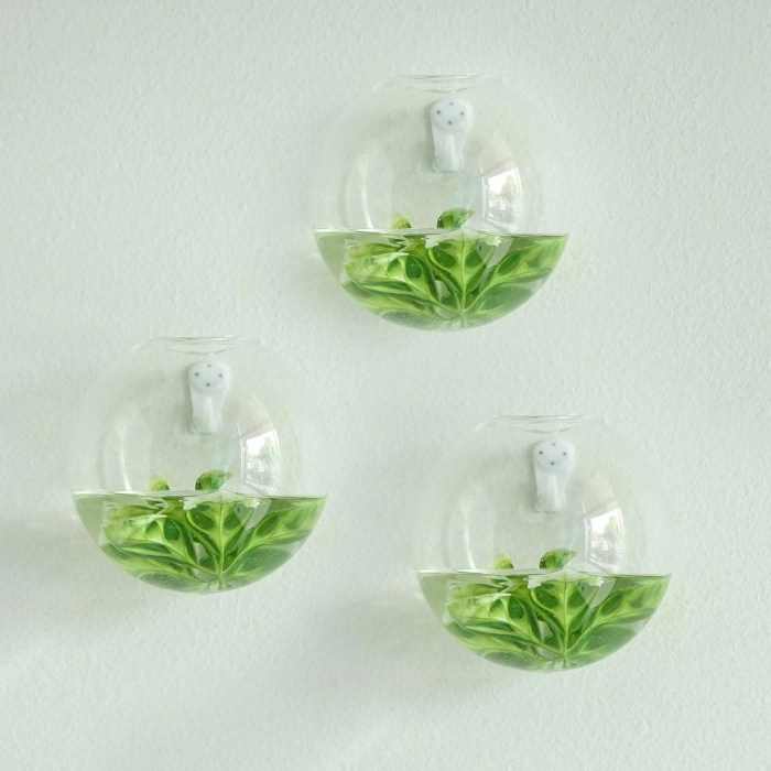 Hanging Plants Indoor | Glass Wall Planters Indoor: Enhance Your Living Spaces with Style and Greenery