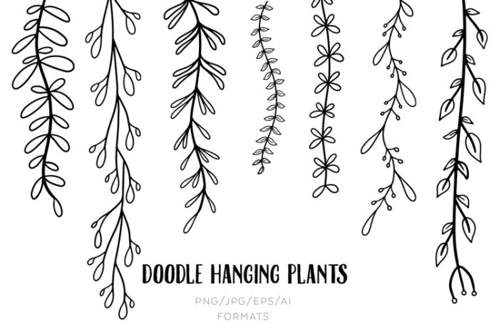 Hanging Plants Indoor | Hanging Plants Doodles: Enchanting Indoor Decor