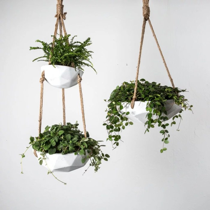 Hanging Plants Indoor | Hanging House Plant Pots: Elevate Your Home Decor with Style and Greenery