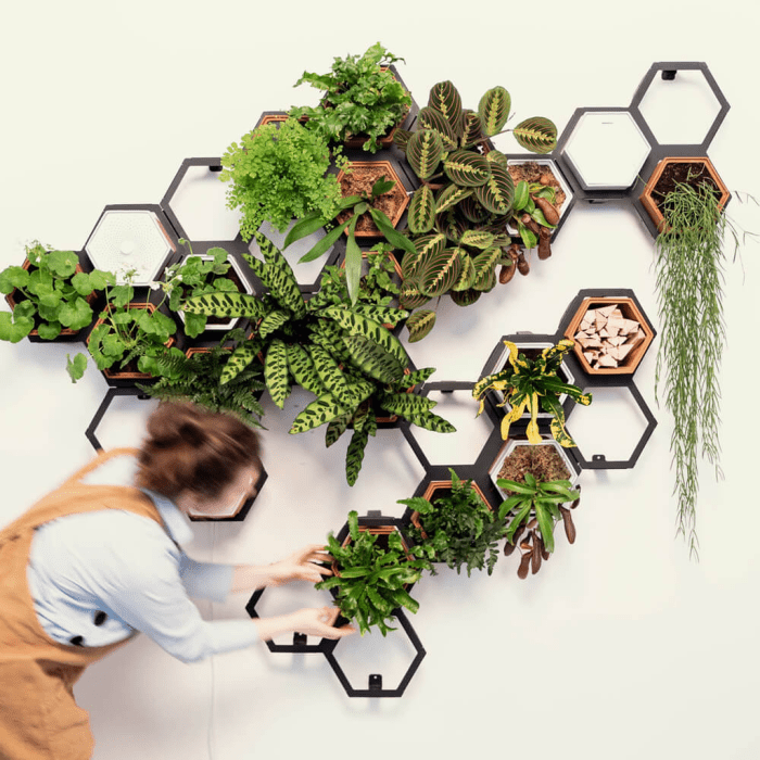 Hanging Plants Indoor | Wall Planters for Indoor Plants: Vertical Gardens for Limited Spaces
