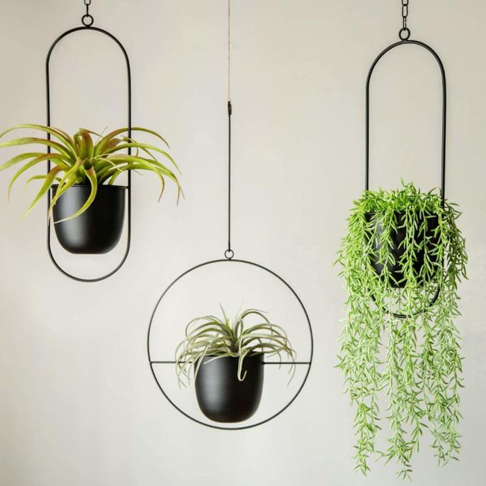 Hanging Plants Indoor | Metal Plant Hangers Indoor: Elevate Your Greenery with Style and Functionality