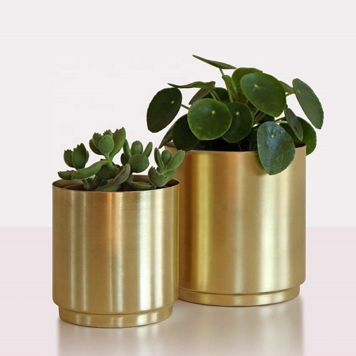 Hanging Plants Indoor | Gold Indoor Hanging Planters: A Guide to Stylish Plant Display