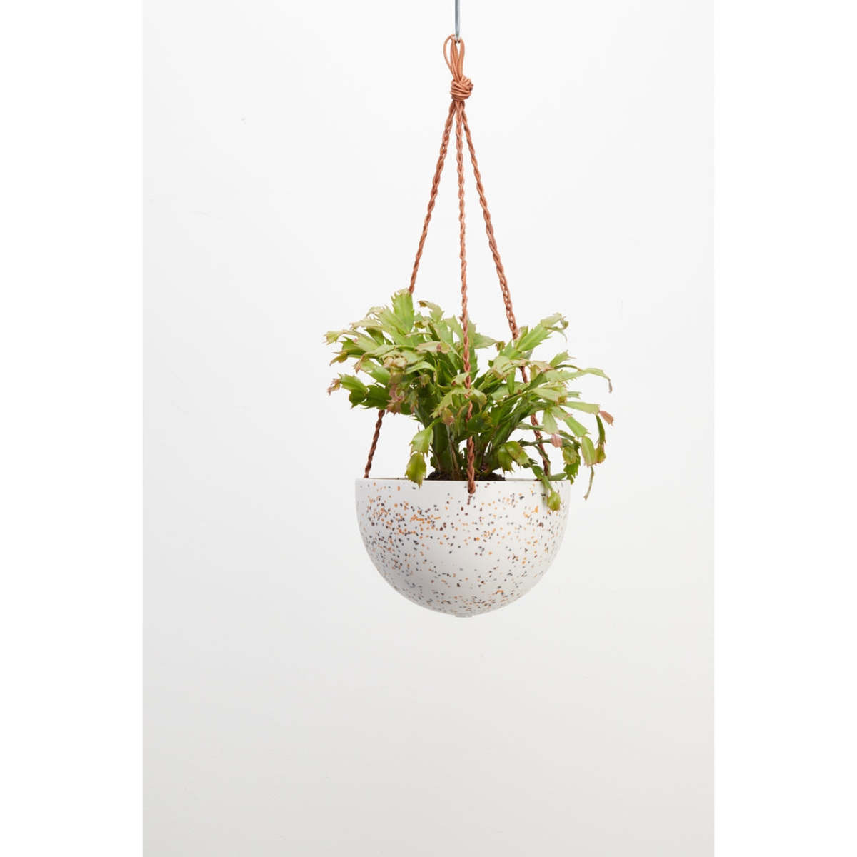 Hanging Plants Indoor | Bunnings Capra Designs: A Guide to Outdoor Elegance