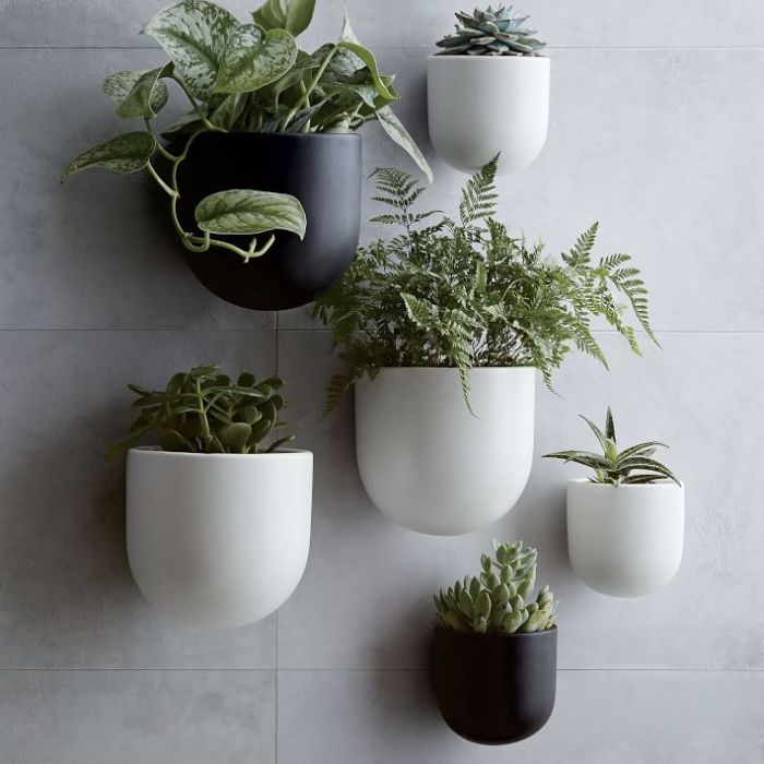 Hanging Plants Indoor | Small Wall Planters: Elevate Your Indoor Decor with Style