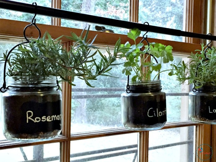 Hanging Plants Indoor | 6 DIY Indoor Hanging Herb Gardens: A Guide to Growing Fresh Herbs at Home