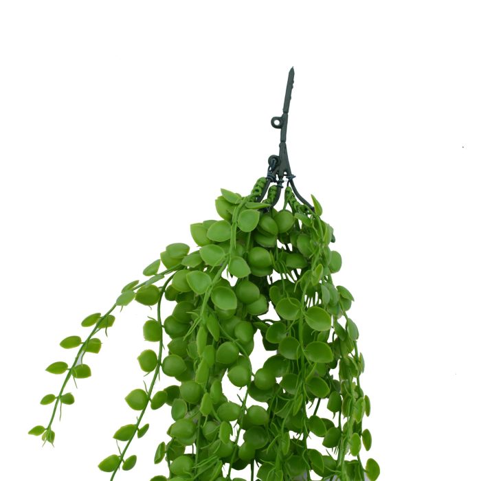 Hanging Plants Indoor | 10 Hanging Plants Pearls: A Unique Touch for Home Decor