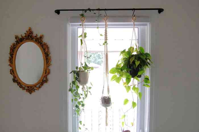 Hanging Plants Indoor | Hanging Plants from Curtain Rods: Elevate Your Decor with Grace