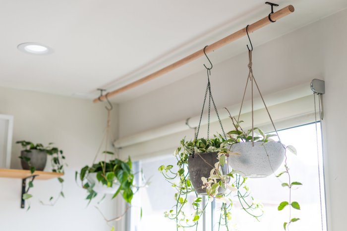 Hanging Plants Indoor | Indoor Ceiling Plant Hangers: Elevate Your Decor with Greenery