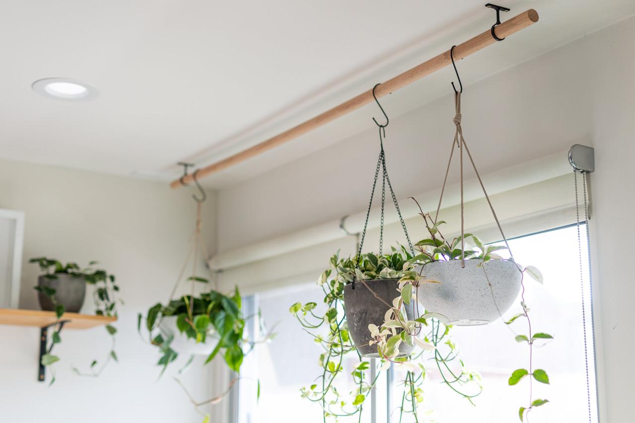 Hanging Plants Indoor | 10 Hanging Plants on Curtain Rods: A Guide to Decorating with Greenery