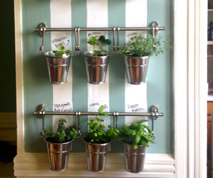 Hanging Plants Indoor | 7 DIY Hanging Herb Garden Indoor: Transform Your Space into a Culinary Oasis