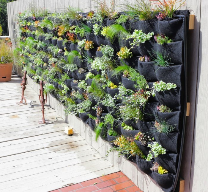 Hanging Plants Indoor | 8 Best Indoor Wall Planters for a Greener Home