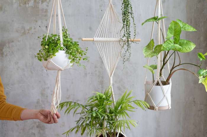 Hanging Plants Indoor | Bedroom Plant Hangers: Transform Your Space with Greenery