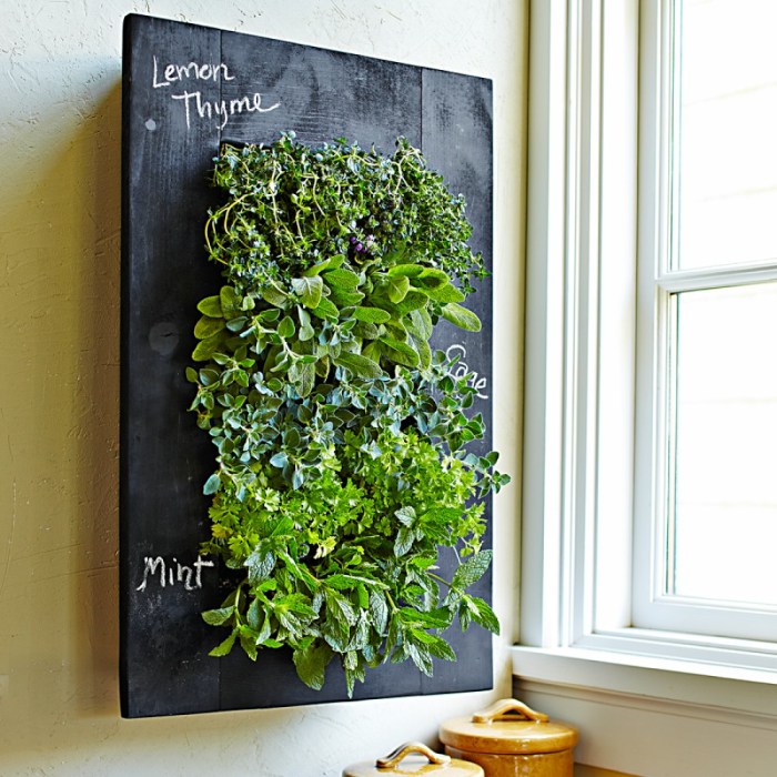 Hanging Plants Indoor | Herb Wall Planter Indoor: Design, Care, and Display Ideas
