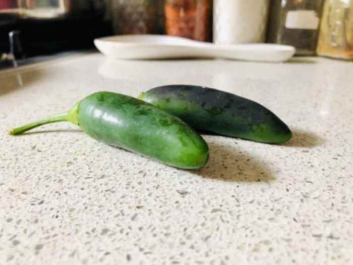 Hanging Plants Indoor | Mastering the Art of Trimming Jalapeno Plants for Optimal Yields