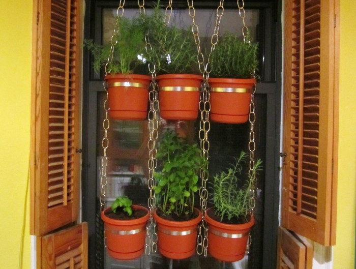 Hanging Plants Indoor | Hanging Window Herb Gardens: A Vertical Oasis of Flavor and Greenery