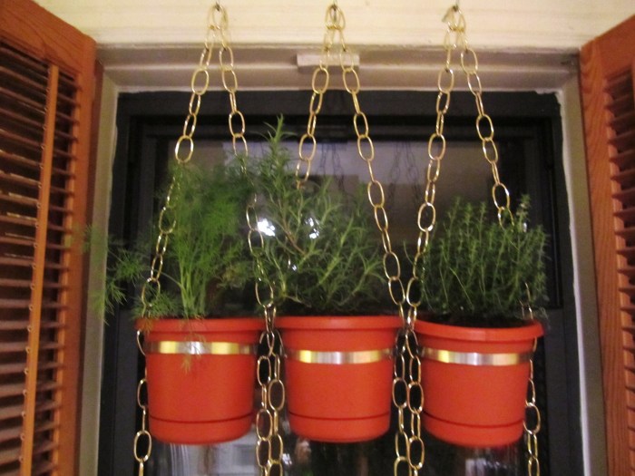 Hanging Plants Indoor | Hanging Window Herb Gardens: A Vertical Oasis of Flavor and Greenery