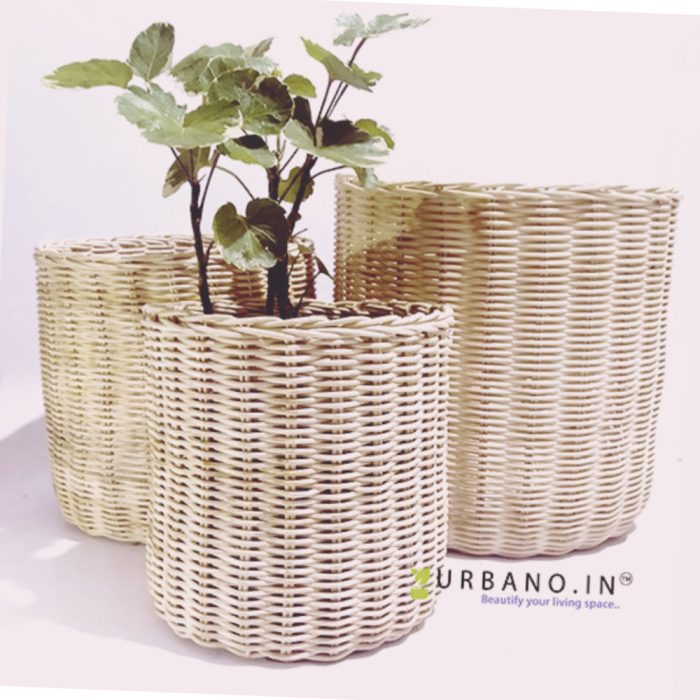 Hanging Plants Indoor | Bunnings Cane Planter: Enhancing Gardens with Versatile and Durable Designs