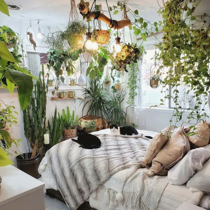 Hanging Plants Indoor | Best Plants for Bedroom Sleep: Enhance Your Slumber with Nature's Touch