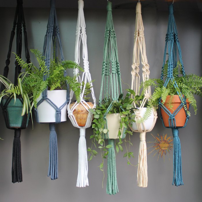 Hanging Plants Indoor | Best Indoor Plants for Macrame Hangers: Elevate Your Home Decor with Greenery