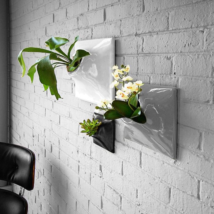 Hanging Plants Indoor | Modern Indoor Wall Planters: A Guide to Stylish and Functional Vertical Gardens