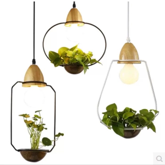 Hanging Plants Indoor | 10 Hanging Plants Lights: A Guide to Lighting, Display, and Care