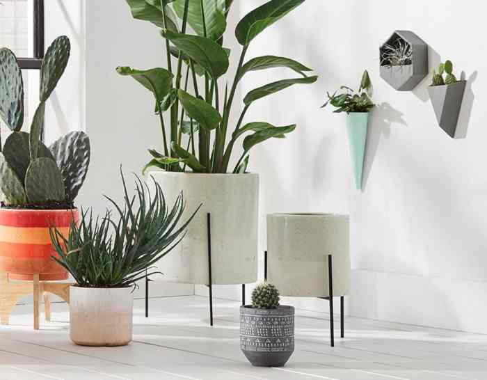 Hanging Plants Indoor | Modern Indoor Wall Planters: A Guide to Stylish and Functional Vertical Gardens