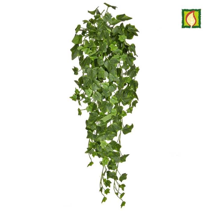 Hanging Plants Indoor | Green Leaf Trailing Plants: Enhance Your Spaces with Lush Greenery