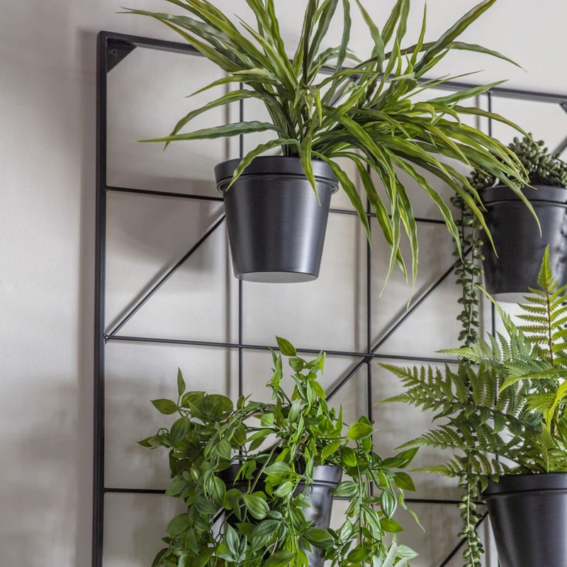 Hanging Plants Indoor | Black Indoor Wall Planters: Elevate Your Home Decor with Bold Elegance