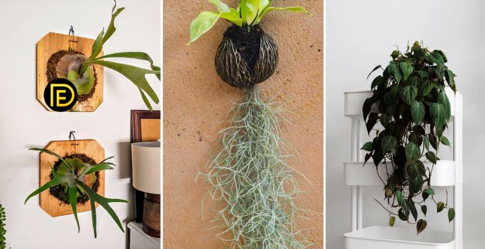 Hanging Plants Indoor | Best Indoor Hanging Plants for Bright Light: A Comprehensive Guide