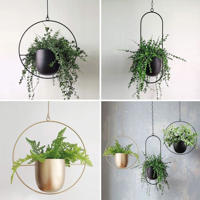 Hanging Plants Indoor | Black Indoor Hanging Baskets: A Guide to Styles, Selection, and Design