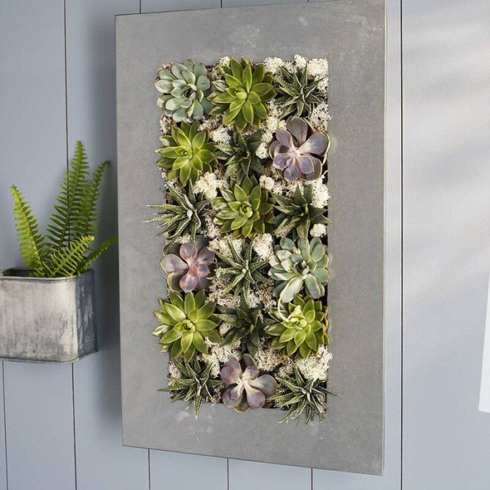 Hanging Plants Indoor | Large Wall Planters for Indoor Spaces: Elevate Your Home Decor and Improve Well-being
