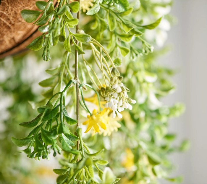 Hanging Plants Indoor | Garden Reflections 18 Cascading Indoor Outdoor Hanging Basket: A Symphony of Greenery