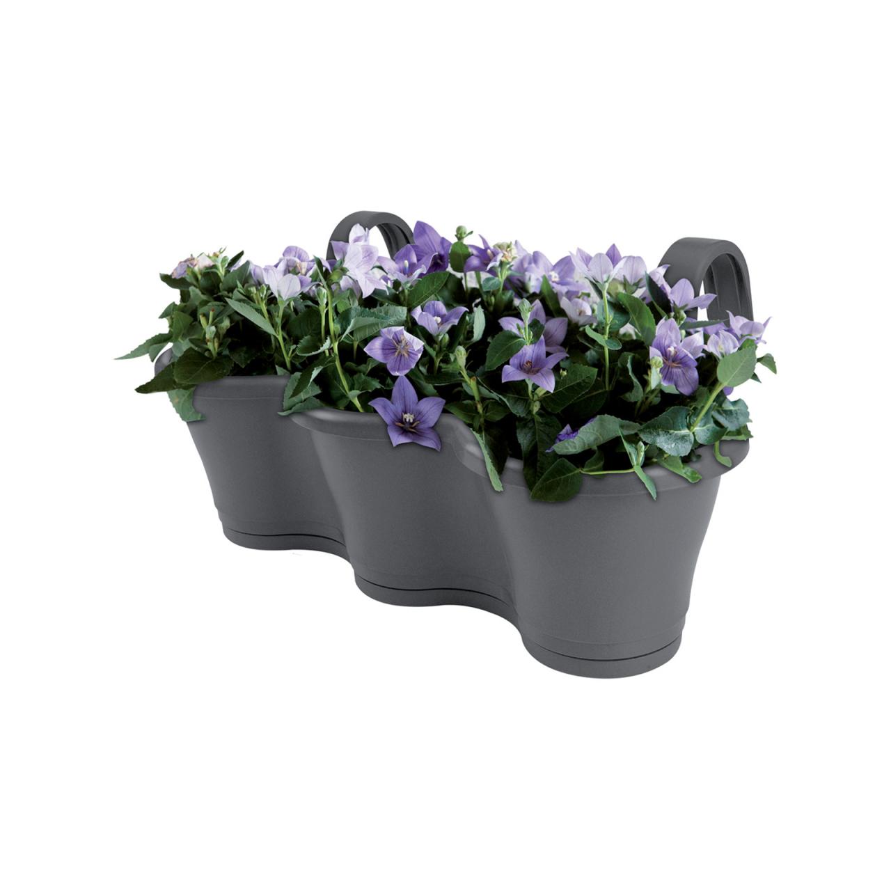 Hanging Plants Indoor | Bunnings Balcony Pots: A Comprehensive Guide to Beautify Your Outdoor Oasis