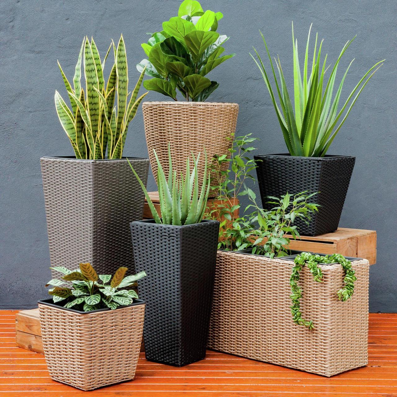 Hanging Plants Indoor | Bunnings Large Outdoor Garden Pots: Enhance Your Garden with Style and Functionality