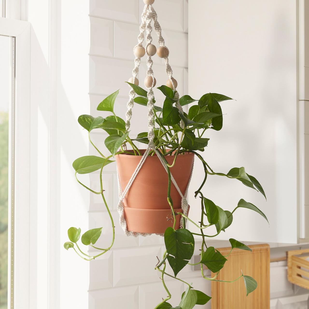 Hanging Plants Indoor | IKEA Indoor Plant Hangers: Elevate Your Home Decor with Style and Functionality