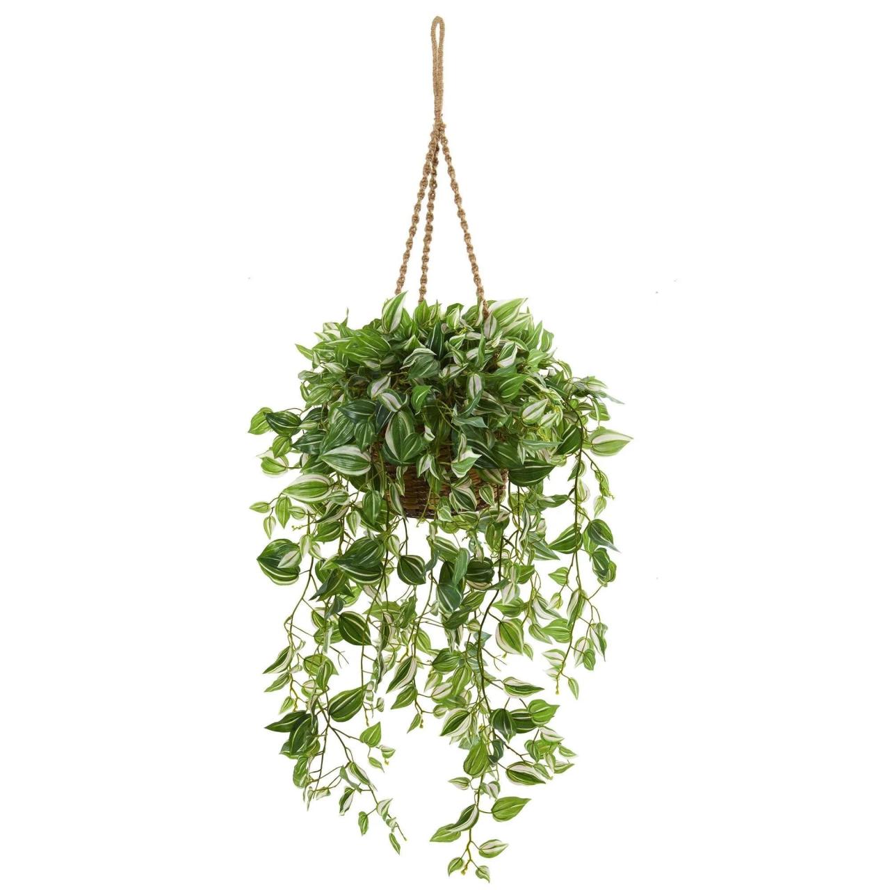 Hanging Plants Indoor | Hanging Plants for Home: A Guide to Greenery and Style