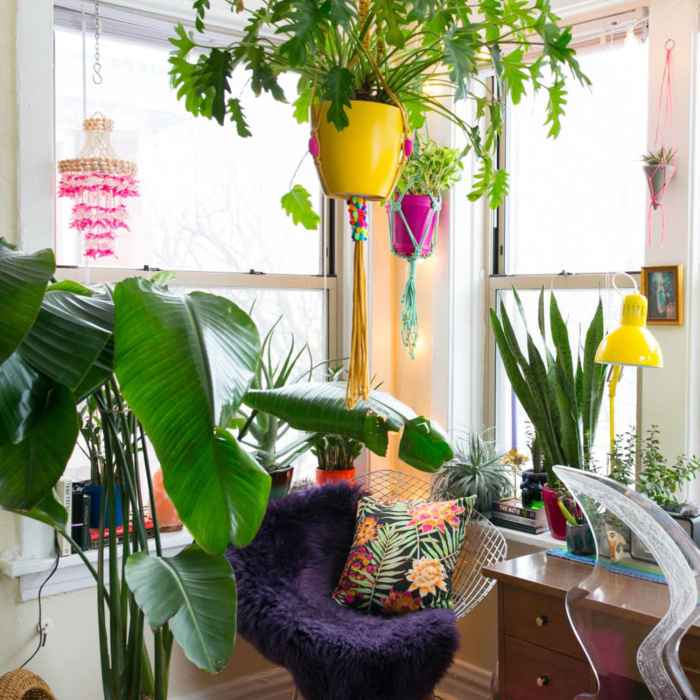 Hanging Plants Indoor | 10 Hanging Plants for Rods: Elevate Your Decor with Vertical Greenery