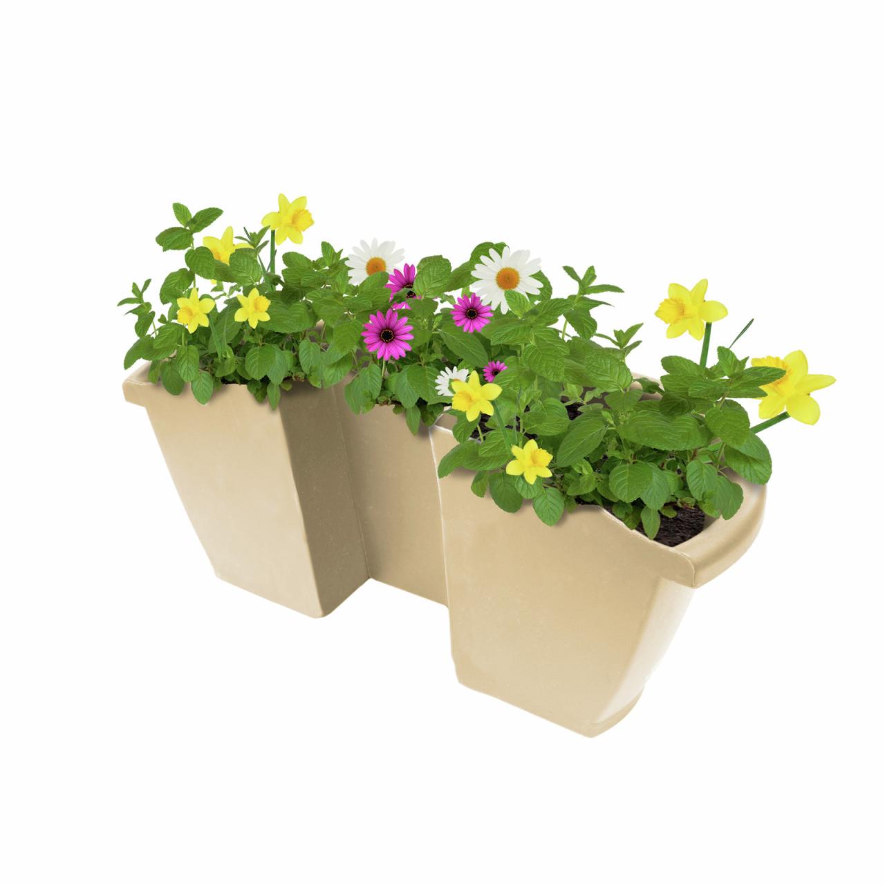Hanging Plants Indoor | Bunnings 40cm Pot: A Versatile Solution for Gardening Enthusiasts
