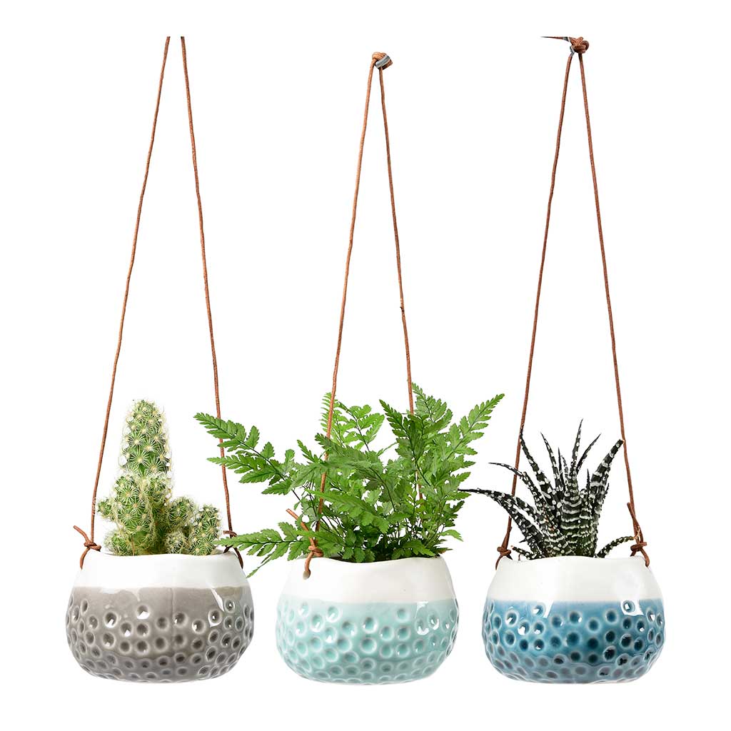 Hanging Plants Indoor | Indoor Hanging Pots: A Guide to Styles, Plants, Placement, and DIY Projects