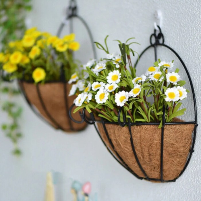 Hanging Plants Indoor | Wall Hanging Baskets: A Guide to Indoor Greenery