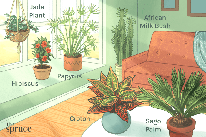 Hanging Plants Indoor | Hanging Plants That Thrive Under Direct Sunlight: A Guide to Lush Greenery