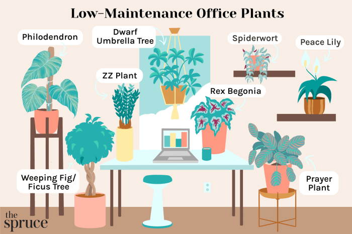 Hanging Plants Indoor | Best Plants for Office Desks with No Windows: Enhancing Workspace Well-being