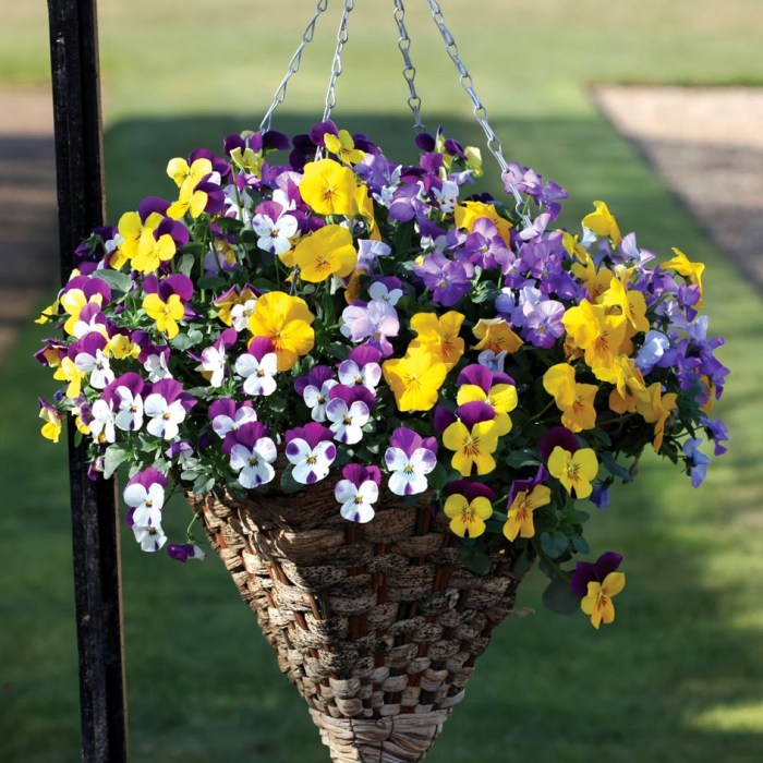 Hanging Plants Indoor | Bunnings Garden Hanging Baskets: A Guide to Creating Stunning Displays