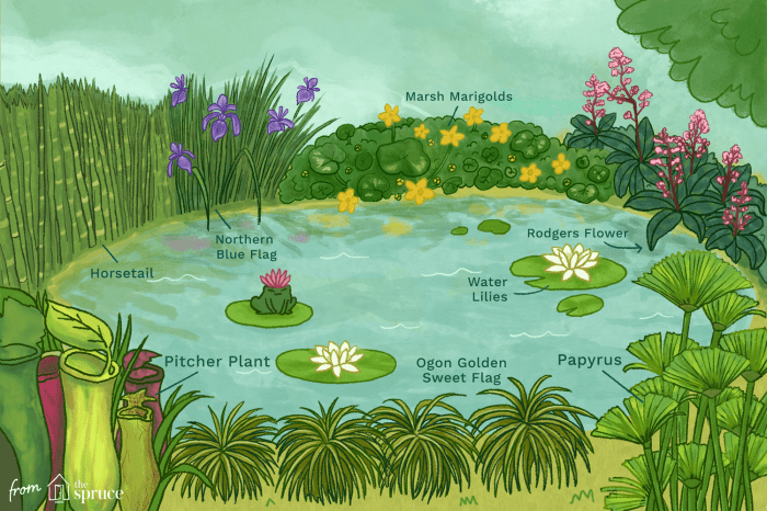 Hanging Plants Indoor | Best Plants for Ponds: A Guide to Oxygenating, Floating, Marginal, Submerged, and Aquatic Flowers