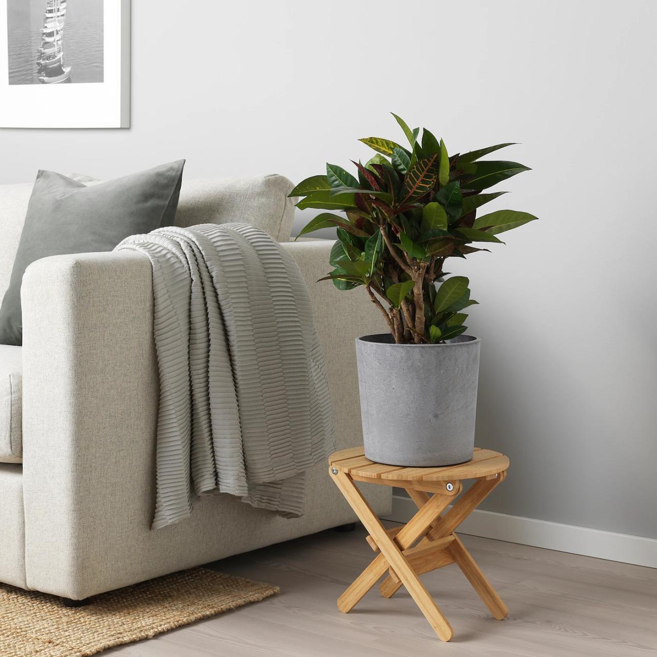 Hanging Plants Indoor | Wall Planters Indoor Ikea: Elevate Your Home Decor with Style and Functionality