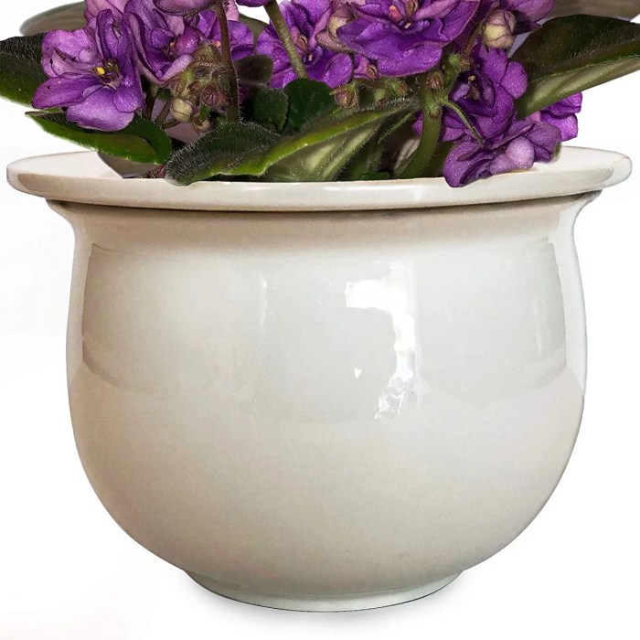 Hanging Plants Indoor | Bunnings African Violet Pots: A Comprehensive Guide for Plant Enthusiasts