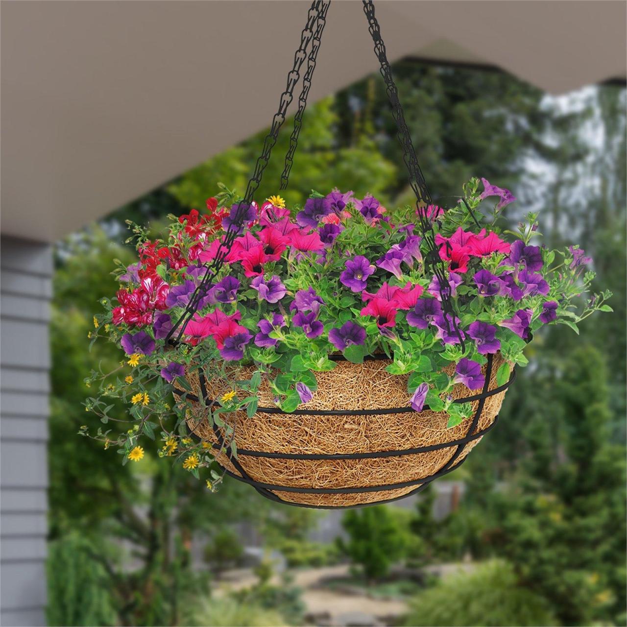Hanging Plants Indoor | Hanging Pots Bunnings: Enhance Your Outdoor Space with Vertical Greenery