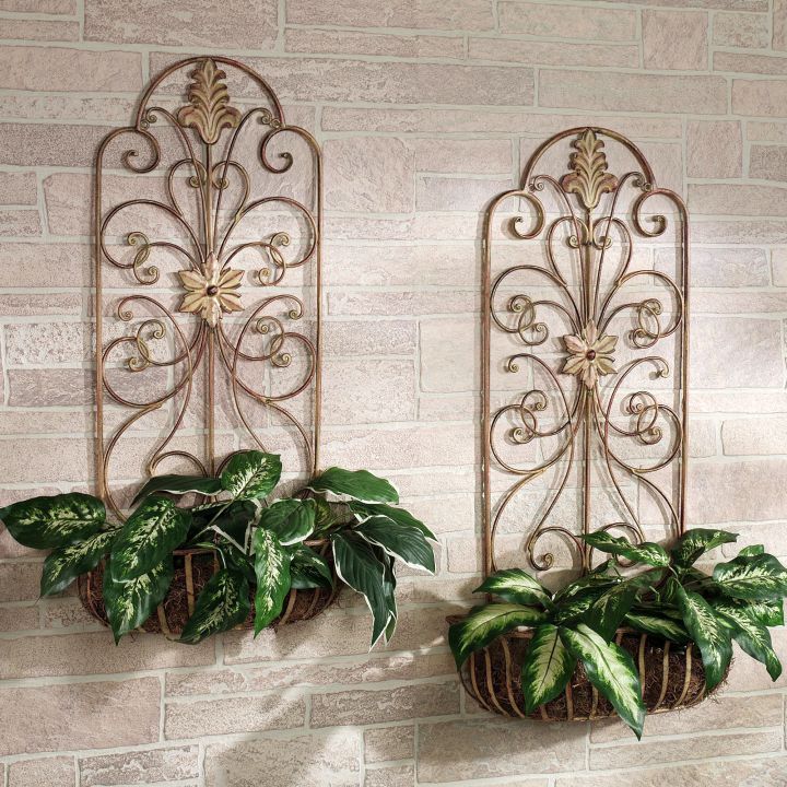 Hanging Plants Indoor | Discover the Allure of Decorative Wall Planters Indoor
